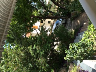 9 Tiara Close, Kingston / St. Andrew, Jamaica - Apartment for Lease/rental